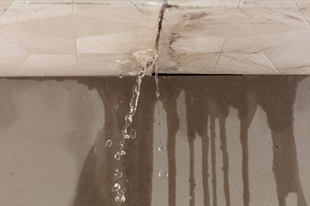 Professional Structural Drying technician working in Lake City, FL